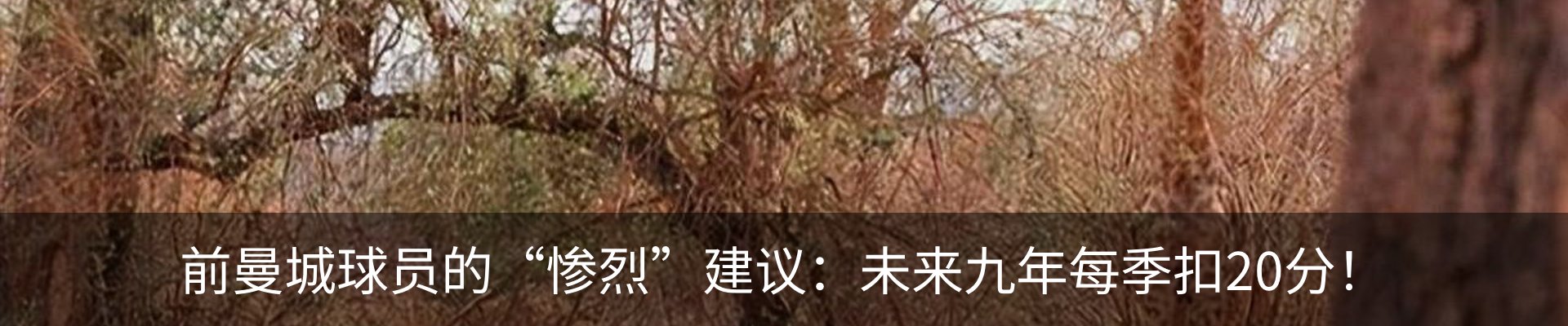 新闻中心